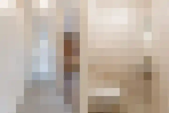 Grote Beer 145 Amstelveen thumbnail 22