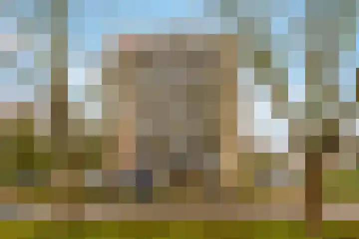 Grote Beer 145 Amstelveen thumbnail 25