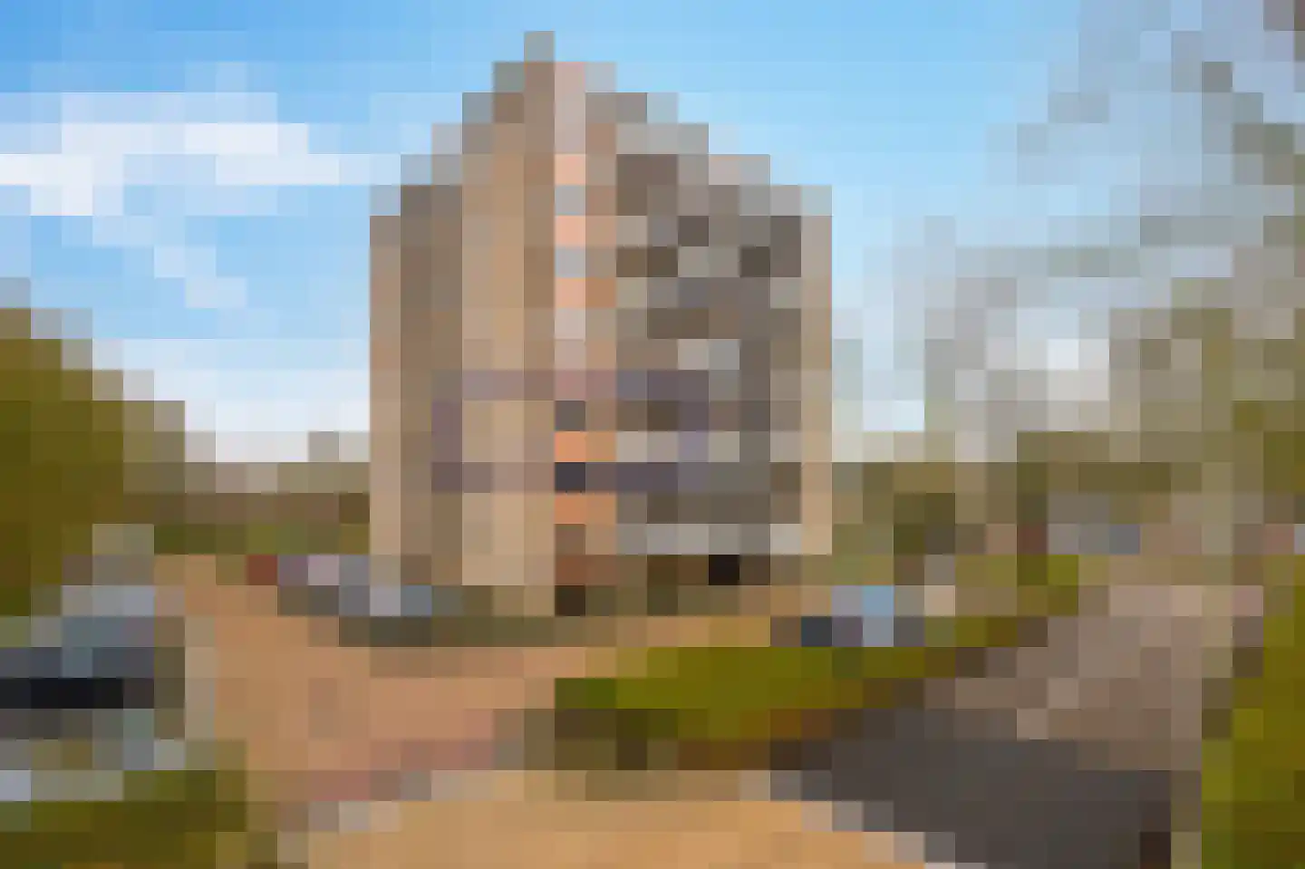 Grote Beer 145 Amstelveen thumbnail 32