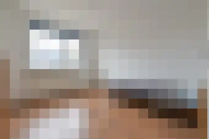 Grote Beer 15 Zeewolde thumbnail 19