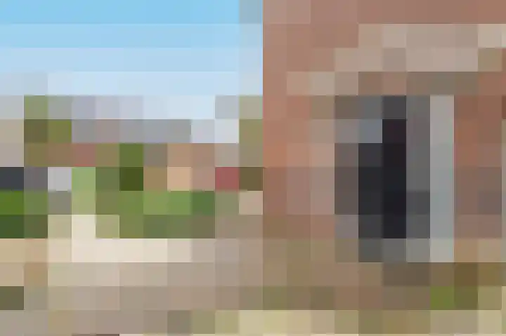 Grote Beer 15 Zeewolde thumbnail 29