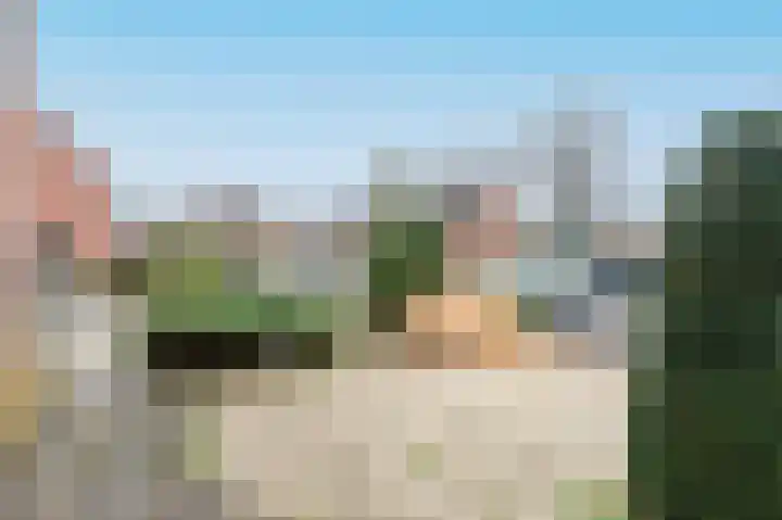 Grote Beer 15 Zeewolde thumbnail 30