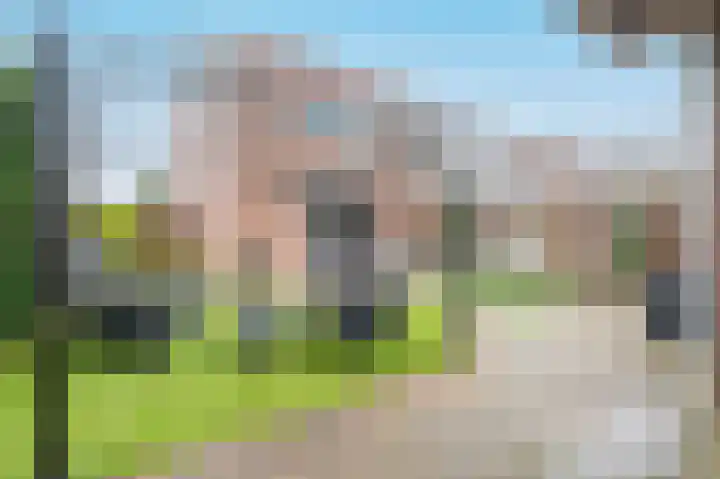 Grote Beer 15 Zeewolde thumbnail 32