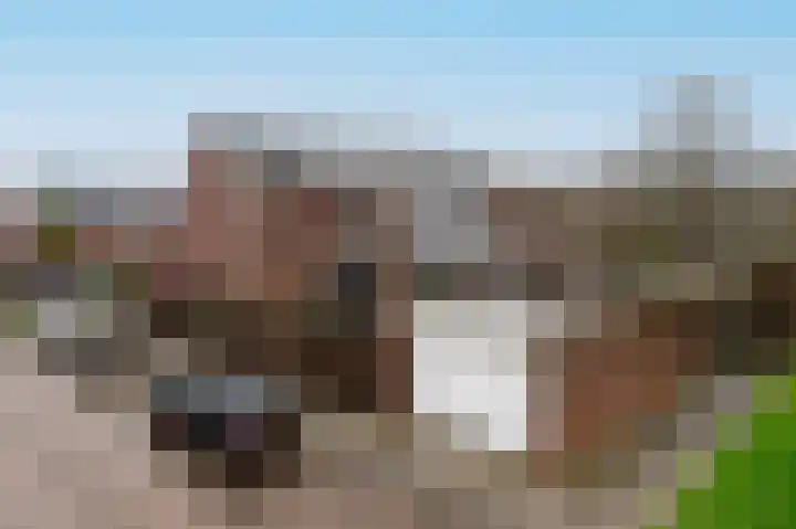 Grote Beer 15 Zeewolde thumbnail 37