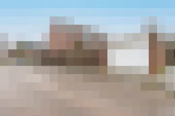 Grote Beer 15 Zeewolde thumbnail 38