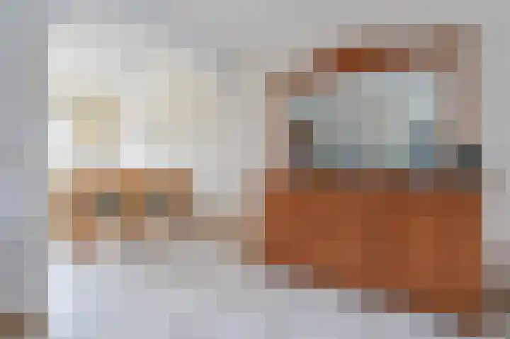 Grote Beer 15 Zeewolde thumbnail 8