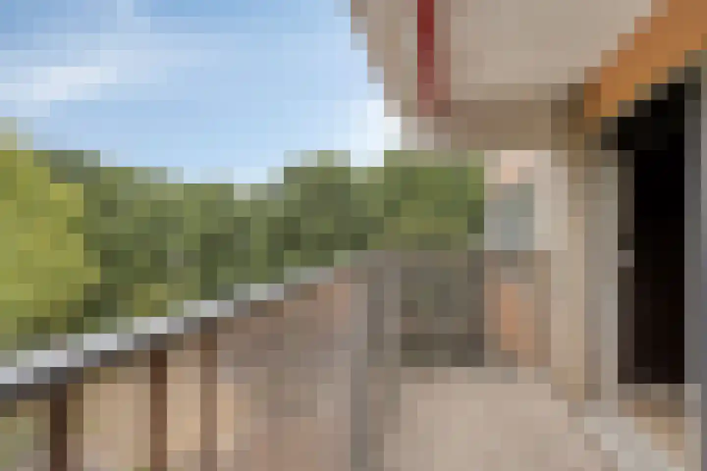 Grote Beer 159 Amstelveen thumbnail 22