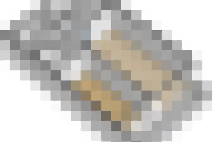Grote Beer 19 Amstelveen thumbnail 22