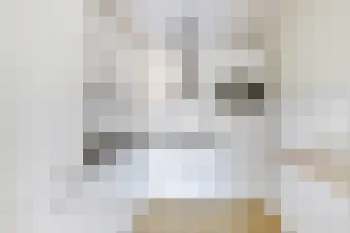 Grote Beer 19 Amstelveen thumbnail 4