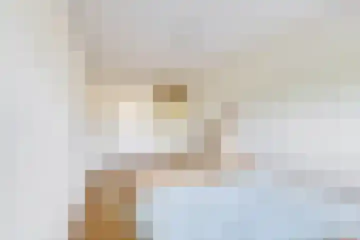 Grote Beer 19 Amstelveen thumbnail 6