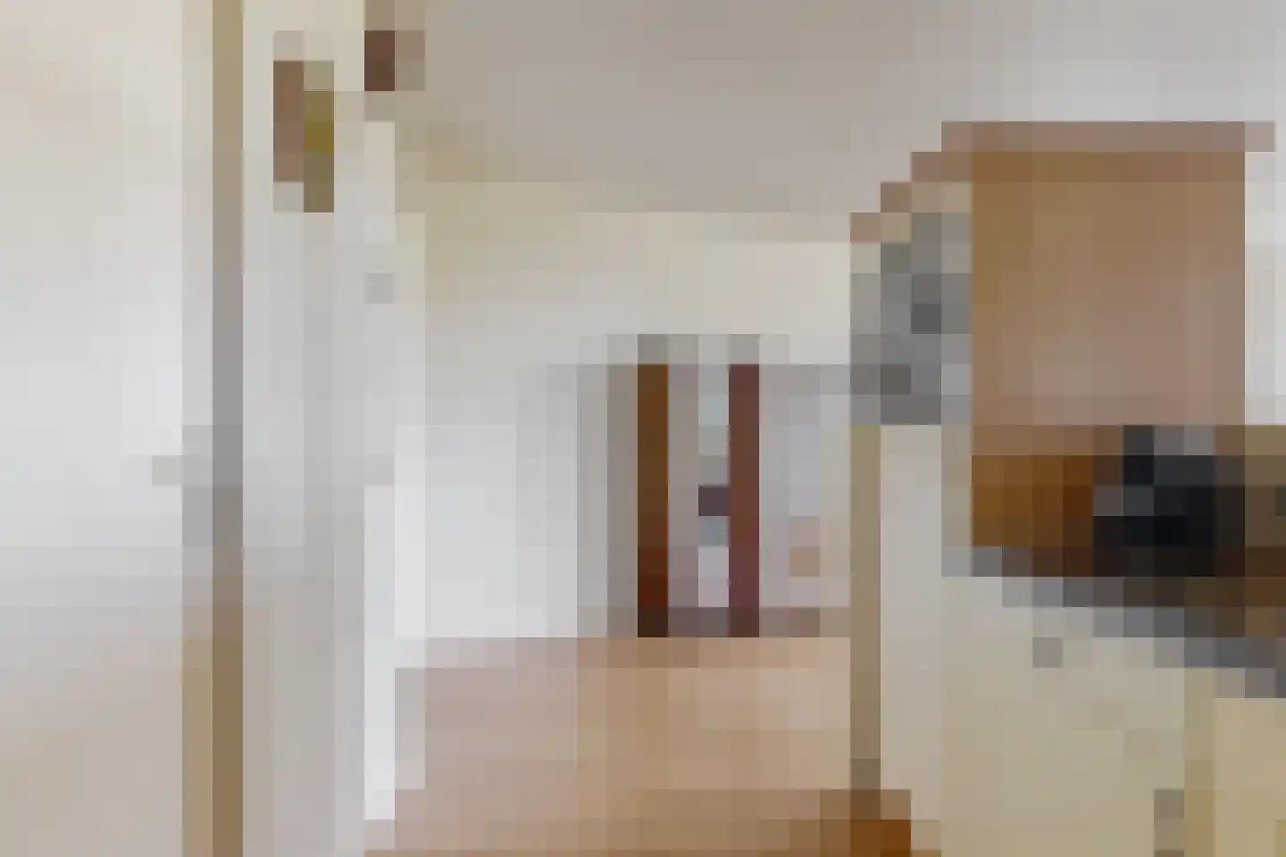 Grote Beer 22 Hoorn thumbnail 12
