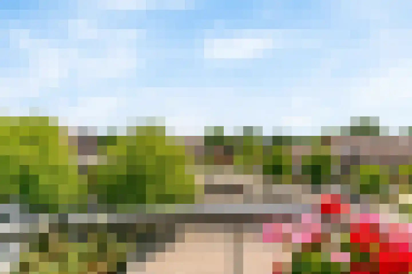 Grote Beer 22 Hoorn thumbnail 16