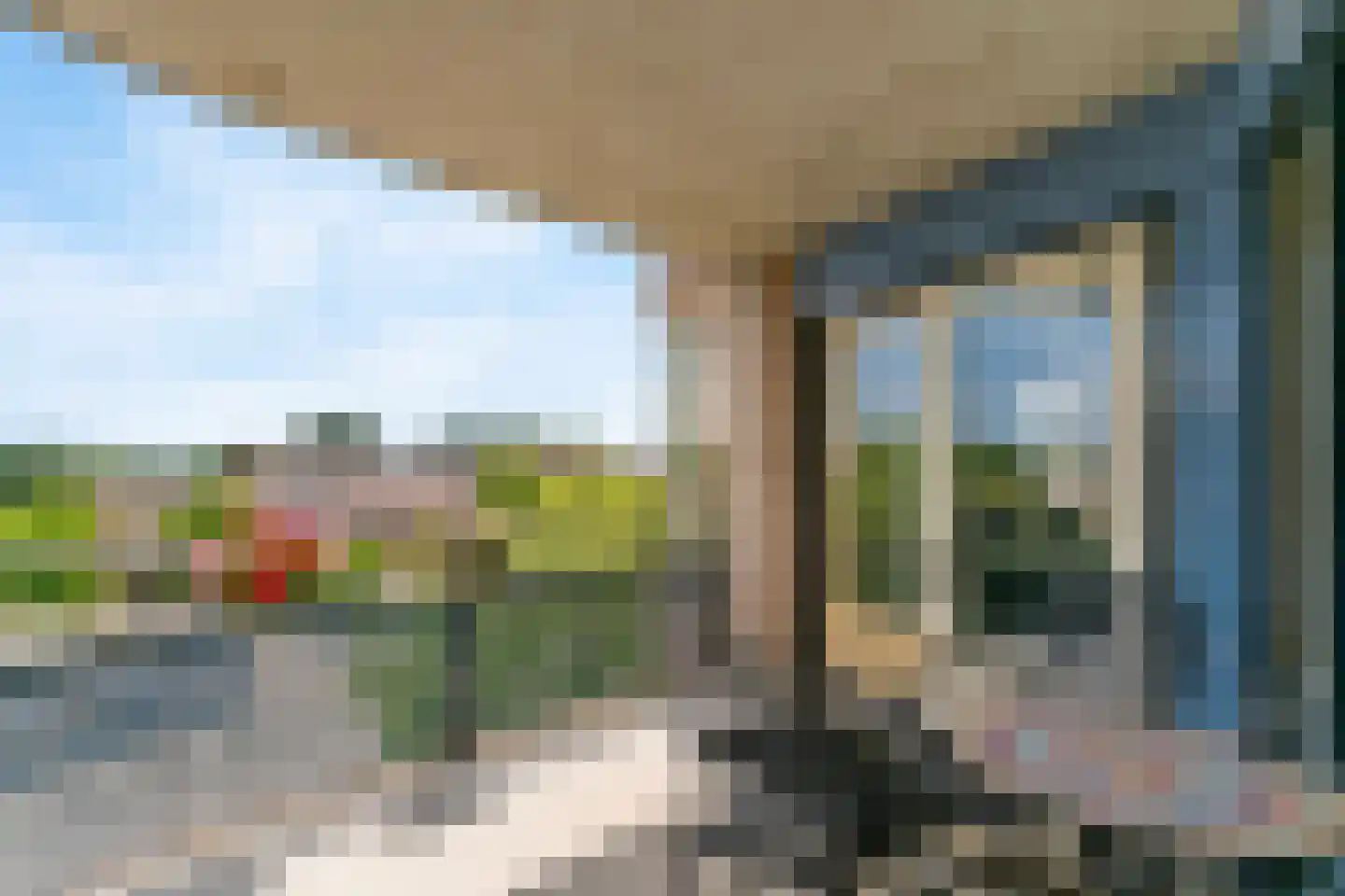 Grote Beer 22 Hoorn thumbnail 17