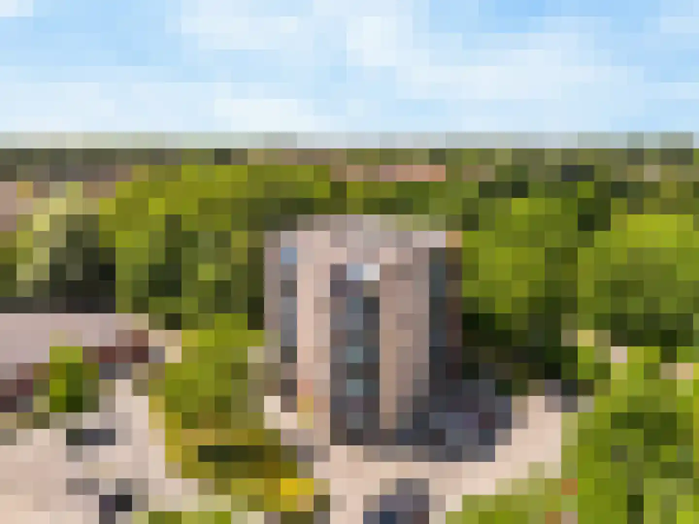 Grote Beer 22 Hoorn thumbnail 23