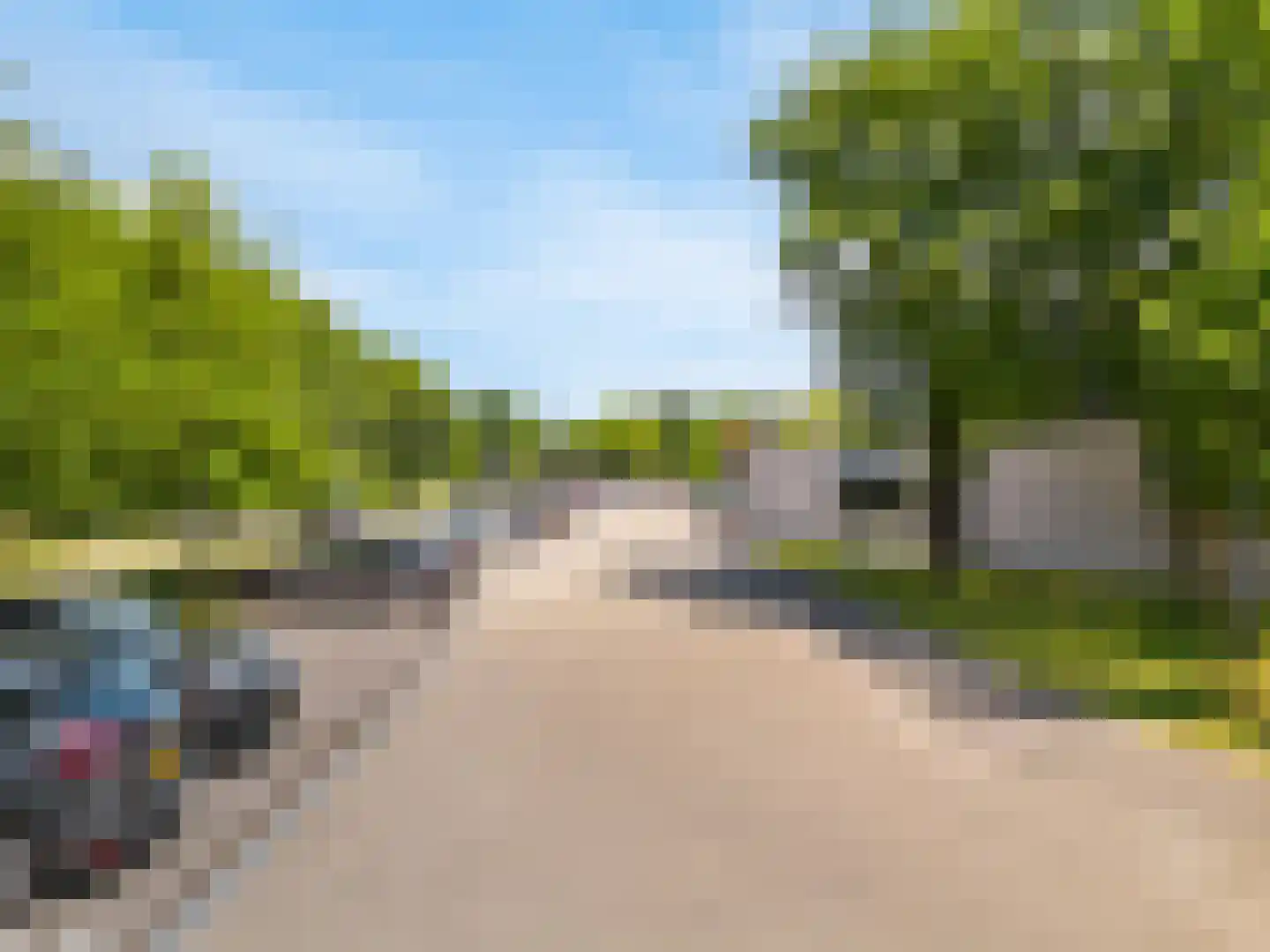 Grote Beer 22 Hoorn thumbnail 32