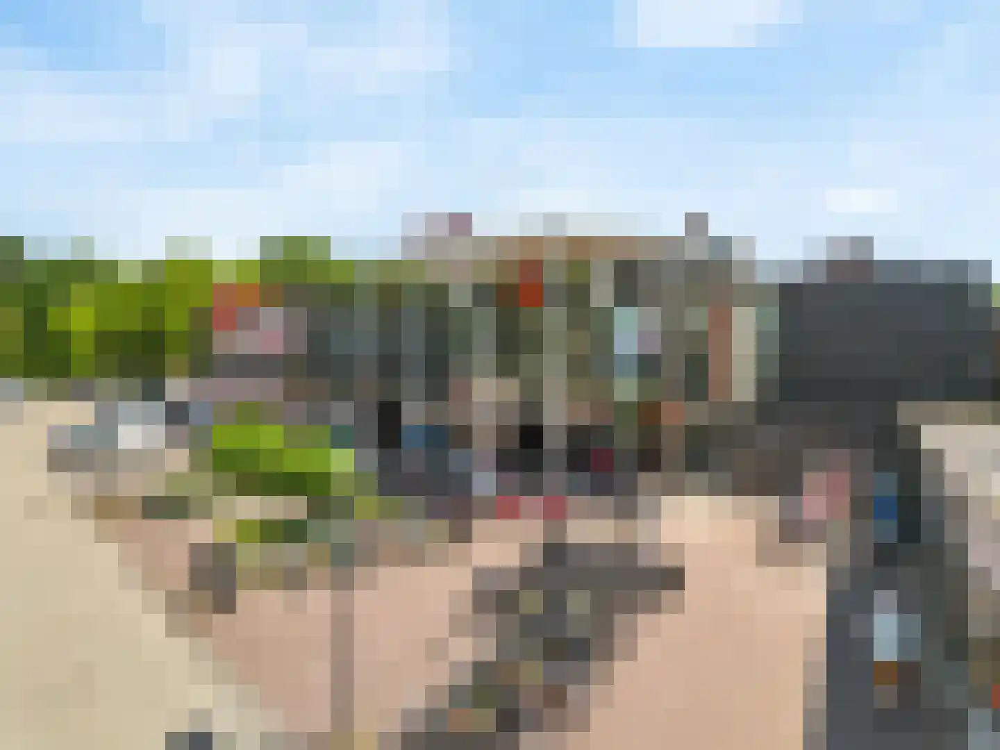 Grote Beer 22 Hoorn thumbnail 33