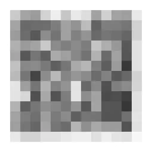 Grote Beer 22 Hoorn thumbnail 38
