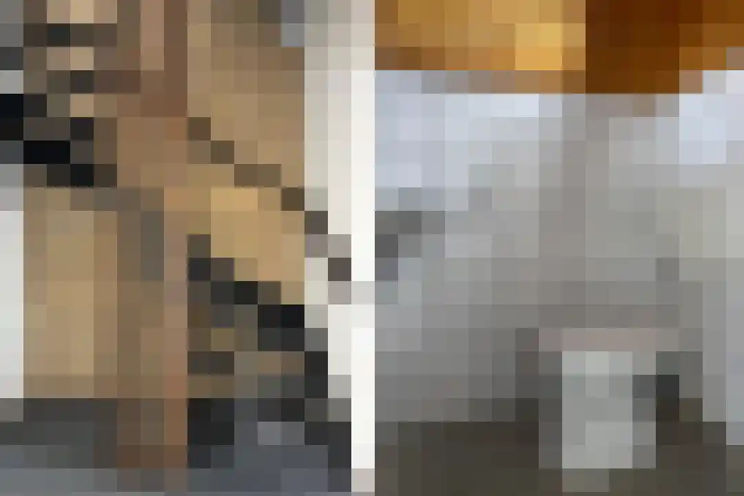 Grote Beer 22 Oostburg thumbnail 13