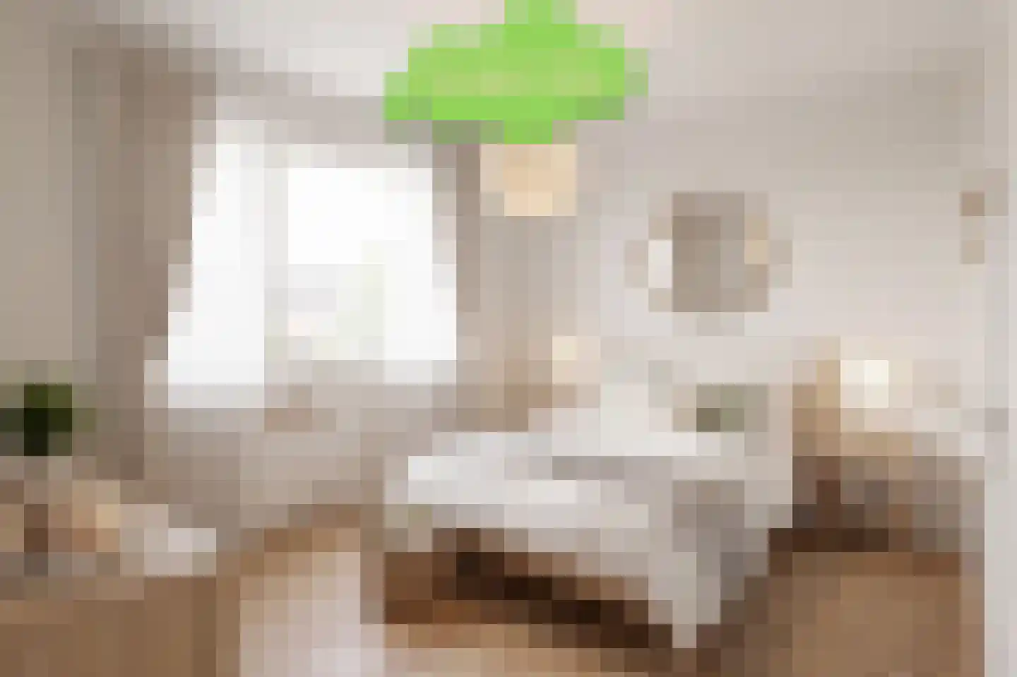 Grote Beer 22 Oostburg thumbnail 15