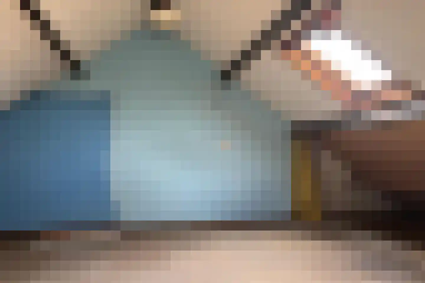 Grote Beer 22 Oostburg thumbnail 28