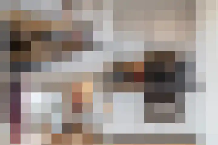 Grote Beer 221 Amstelveen thumbnail 12