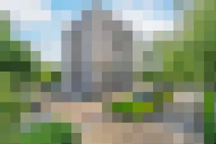 Grote Beer 221 Amstelveen thumbnail 20