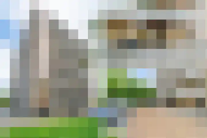 Grote Beer 221 Amstelveen thumbnail 21