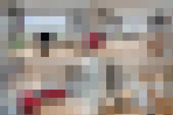 Grote Beer 221 Amstelveen thumbnail 5