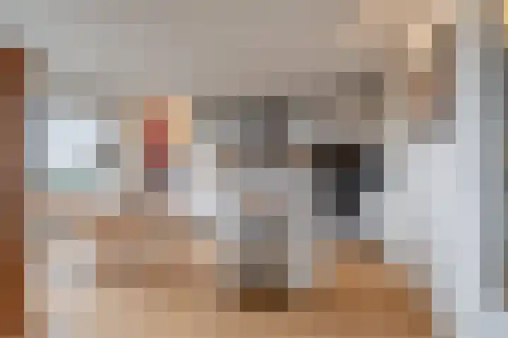 Grote Beer 221 Amstelveen thumbnail 6