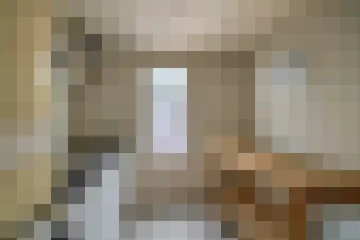 Grote Beer 24 Lisse thumbnail 11