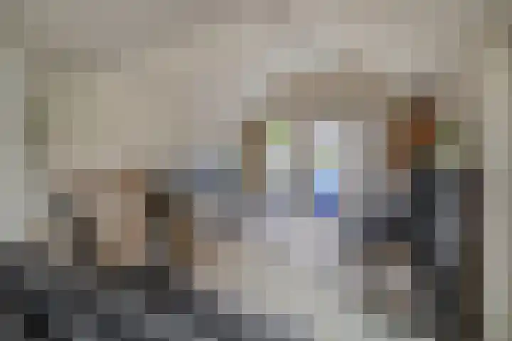 Grote Beer 24 Lisse thumbnail 12