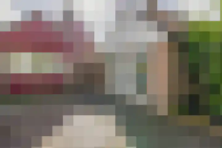 Grote Beer 24 Lisse thumbnail 13