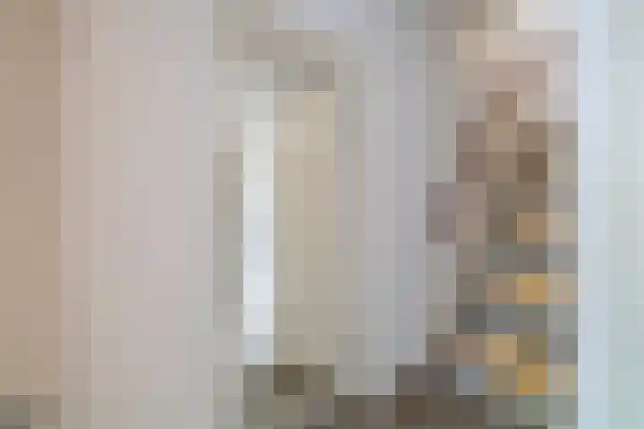 Grote Beer 24 Lisse thumbnail 15