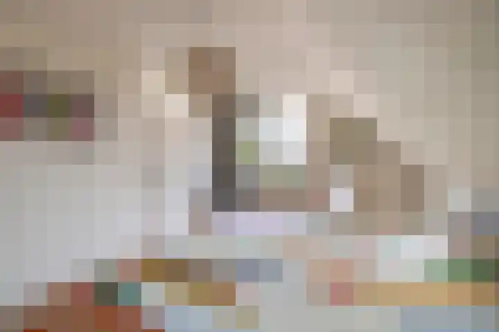 Grote Beer 24 Lisse thumbnail 17