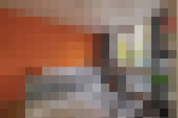Grote Beer 24 Lisse thumbnail 18