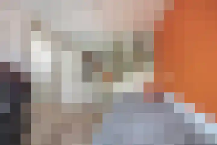 Grote Beer 24 Lisse thumbnail 19