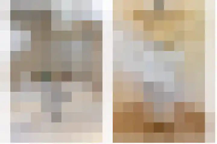 Grote Beer 24 Lisse thumbnail 21