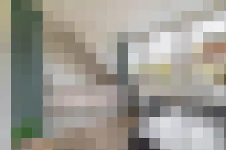 Grote Beer 24 Lisse thumbnail 24