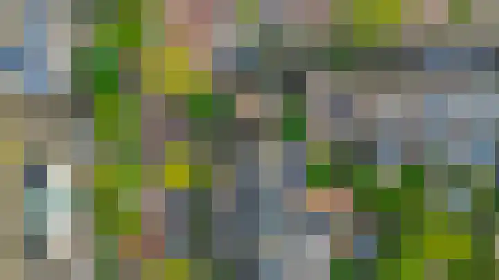 Grote Beer 24 Lisse thumbnail 25