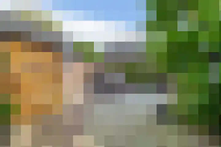 Grote Beer 24 Lisse thumbnail 28