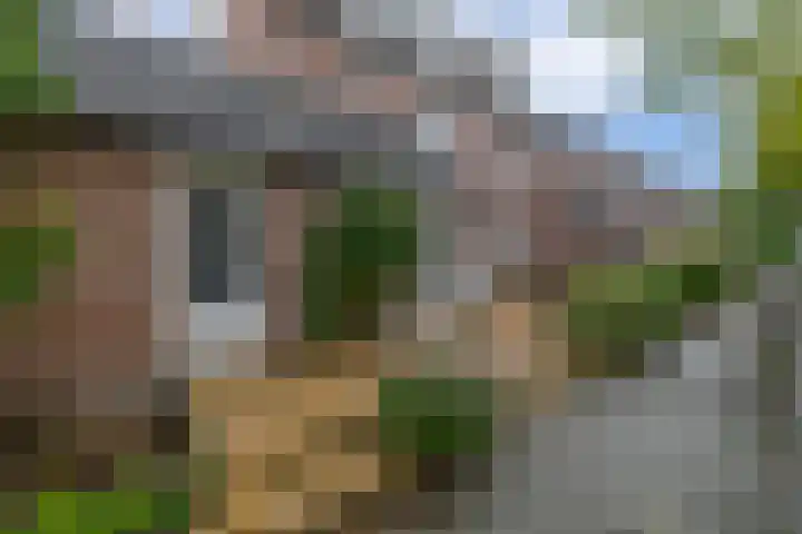 Grote Beer 24 Lisse thumbnail 31