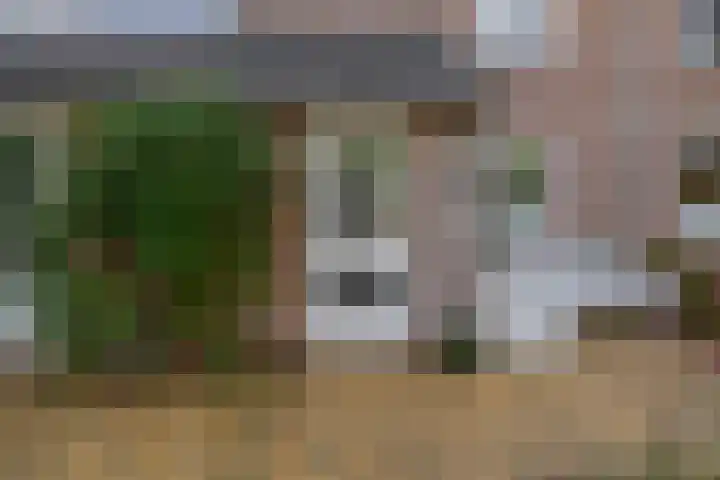 Grote Beer 24 Lisse thumbnail 32