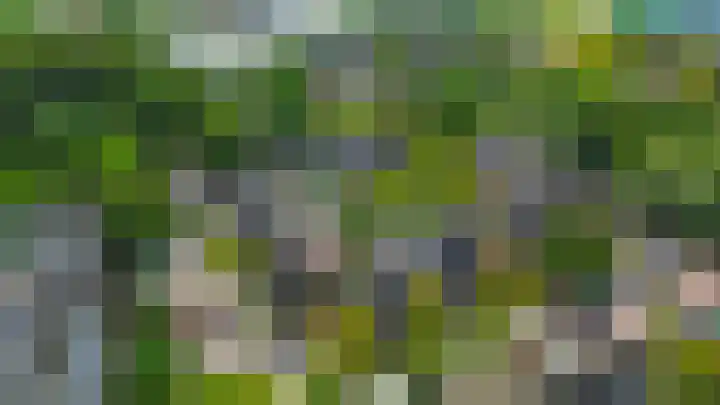 Grote Beer 24 Lisse thumbnail 33