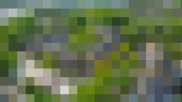 Grote Beer 24 Lisse thumbnail 35