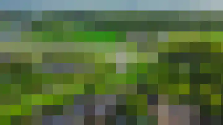 Grote Beer 24 Lisse thumbnail 36
