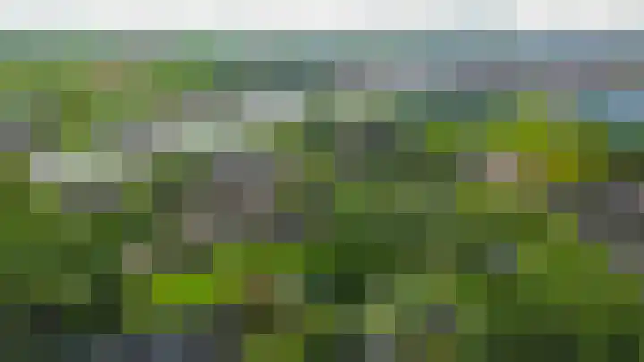 Grote Beer 24 Lisse thumbnail 37