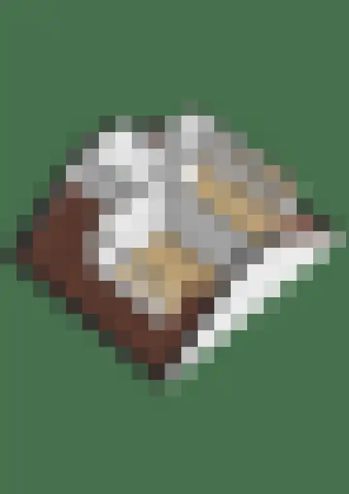 Grote Beer 24 Lisse thumbnail 43