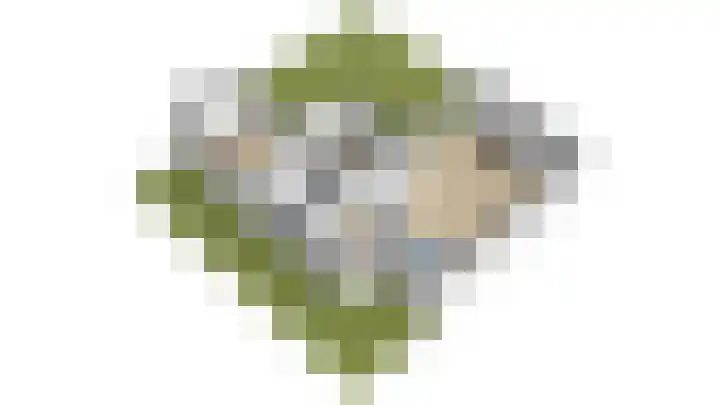 Grote Beer 24 Lisse thumbnail 47