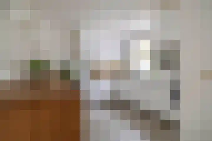 Grote Beer 24 Lisse thumbnail 6