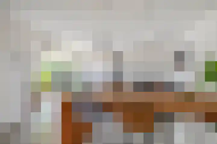 Grote Beer 24 Lisse thumbnail 9
